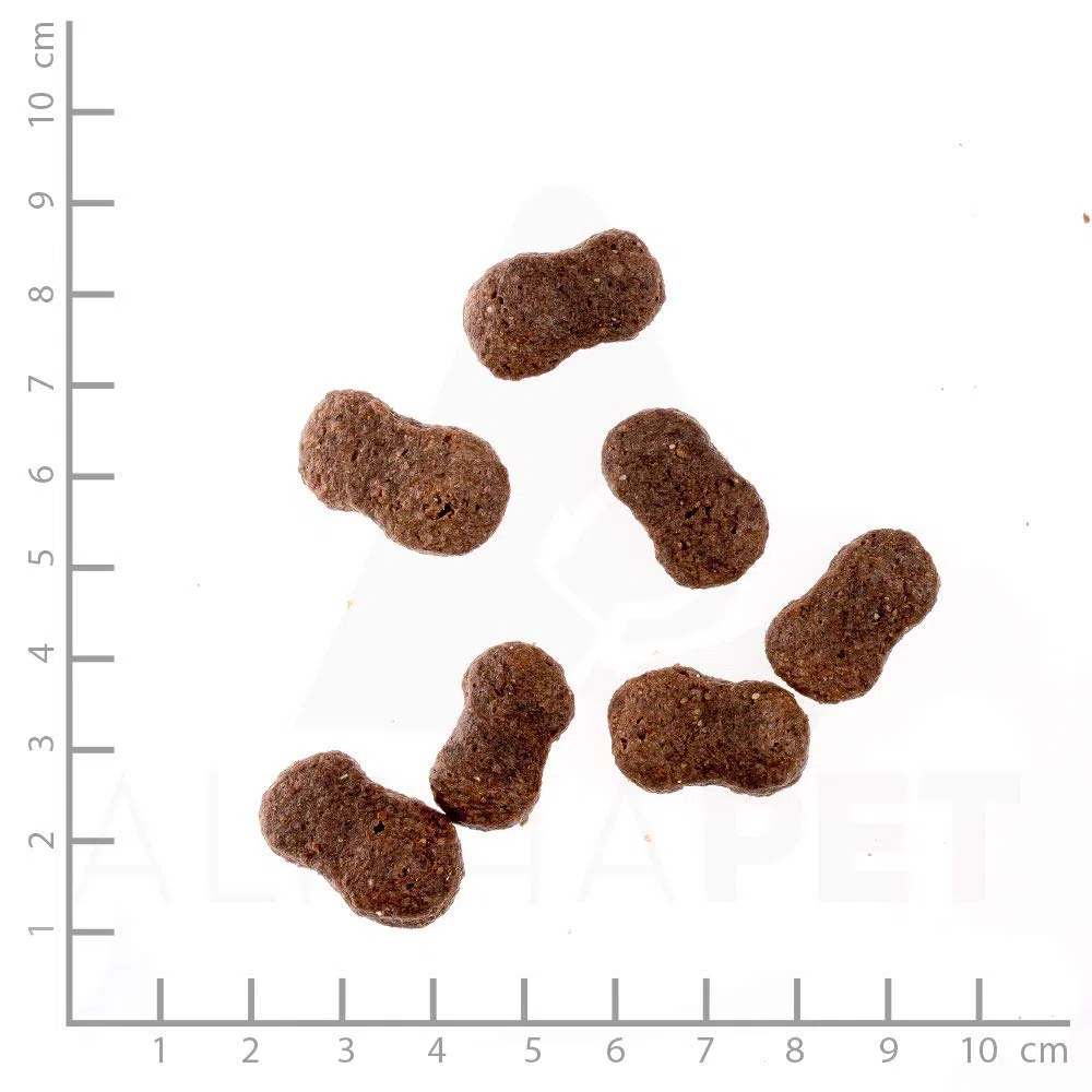 WILDES LAND – Rind | Trockenfutter mit extra hohem Fleischanteil und natürlichen Zutaten für ausgewachsene Hunde. Alleinfutter ohne Zusatzstoffe im Beutel | 24kg Rind