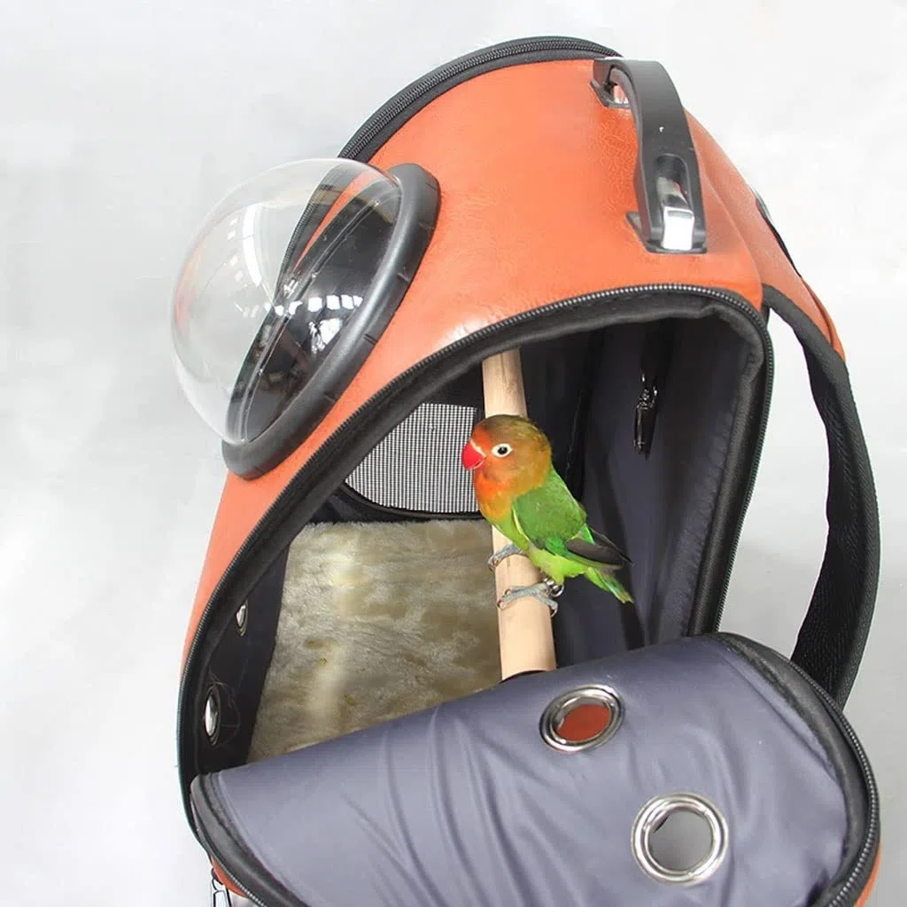 UNNS Vogelträger Vögel Haustier Rucksack Reisekäfig Papagei Vogelkäfig Tragbare kleine Vogelbox for Nymphensittiche, Kanarienvögel, Papageien, Taubenfinken Haustierzubehör (Color : A)