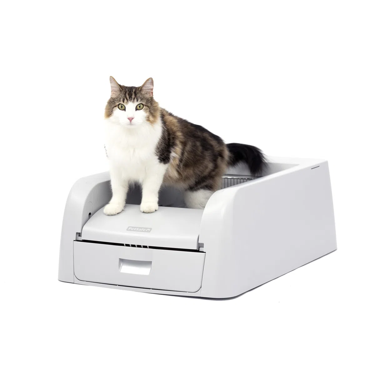 PetSafe ScoopFree Klumpen Selbstreinigende Katzentoilette für Klumpstreu - Hervorragende Geruchskontrolle - Nie Wieder Streu schaufeln - Für Einzel- und Mehrkatzenhaushalte | Automatisches Rechen Klumpstreu, schließt Gerüche ab, leerer Abfalleimer wöchent