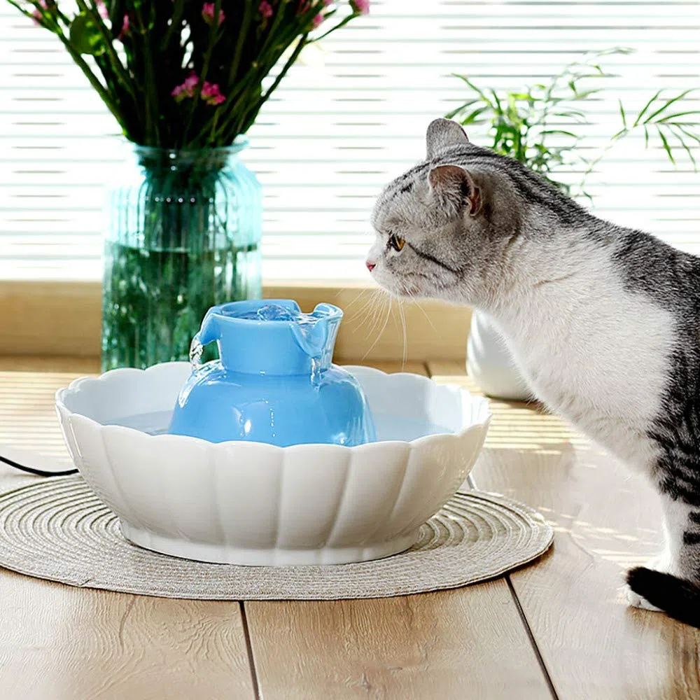 Trinkbrunnen für Haustiere, intelligenter Wasserspender für Katzen, Keramik, Wassermangel, automatische Zirkulationsfiltration mute/Blau / 2.1L