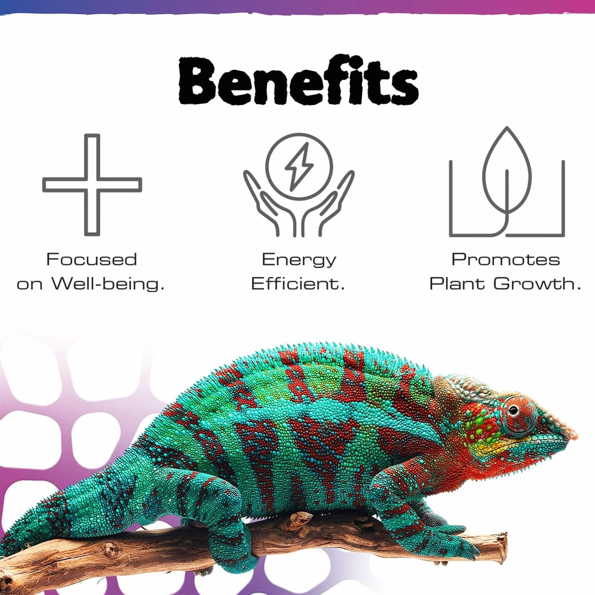 Exo Terra TerraSky UV-LED Terrarienbeleuchtung 10W, UVA & UVB LED-Leuchte, IP54, Timer