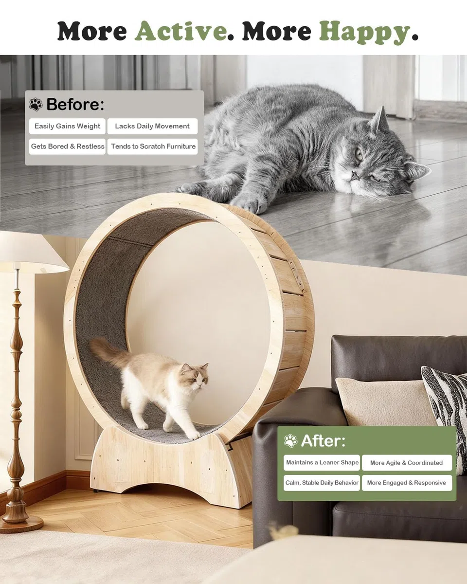 Katzenlaufrad aus Holz 110 cm Leises Laufrad Katze für Tägliches Training | Katzenrad mit Sicherheitsverschluss & 2 Abnehmbaren Teppich-Laufflächen, Bis 12 kg Belastbar, Geeignet für die Meisten Katzen