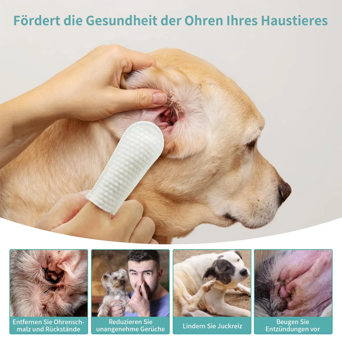 Ohrpflege Finger-Pads für Hunde und Katzen 64 Dosen | 1 Dosen 50 Stück Mit Aloe Vera | Ohrenreinigung zur Vorbeugung von Ohrenentzündungen, Großabnahme, Ideal Für Tierpensionen, Haushalte Mit Mehreren Haustieren