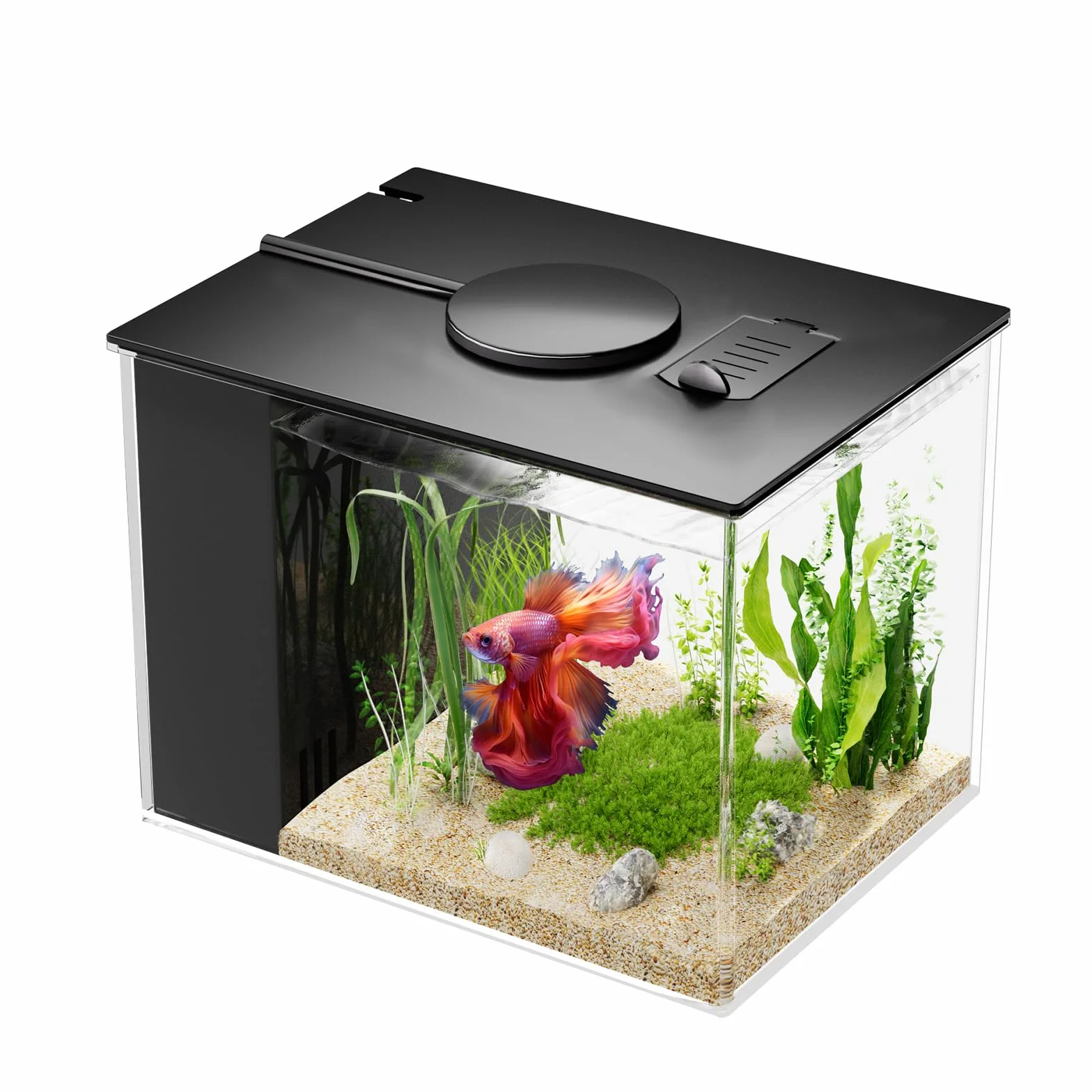 Betta Aquarium Komplettset 3,7L Acryl mit Filterpumpe LED-Beleuchtung Schwarz