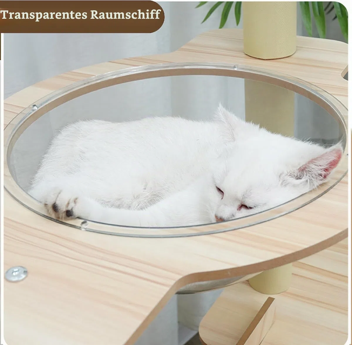 Kratzbaum für große Katzen 165cm-8-stöckiger Katzenbaum, Haus, transparente Raumkapsel, Plüsch-Sprungplattform, Spielzeugball, Krallenschleifende Sisalleiter（Holzfarbe）
