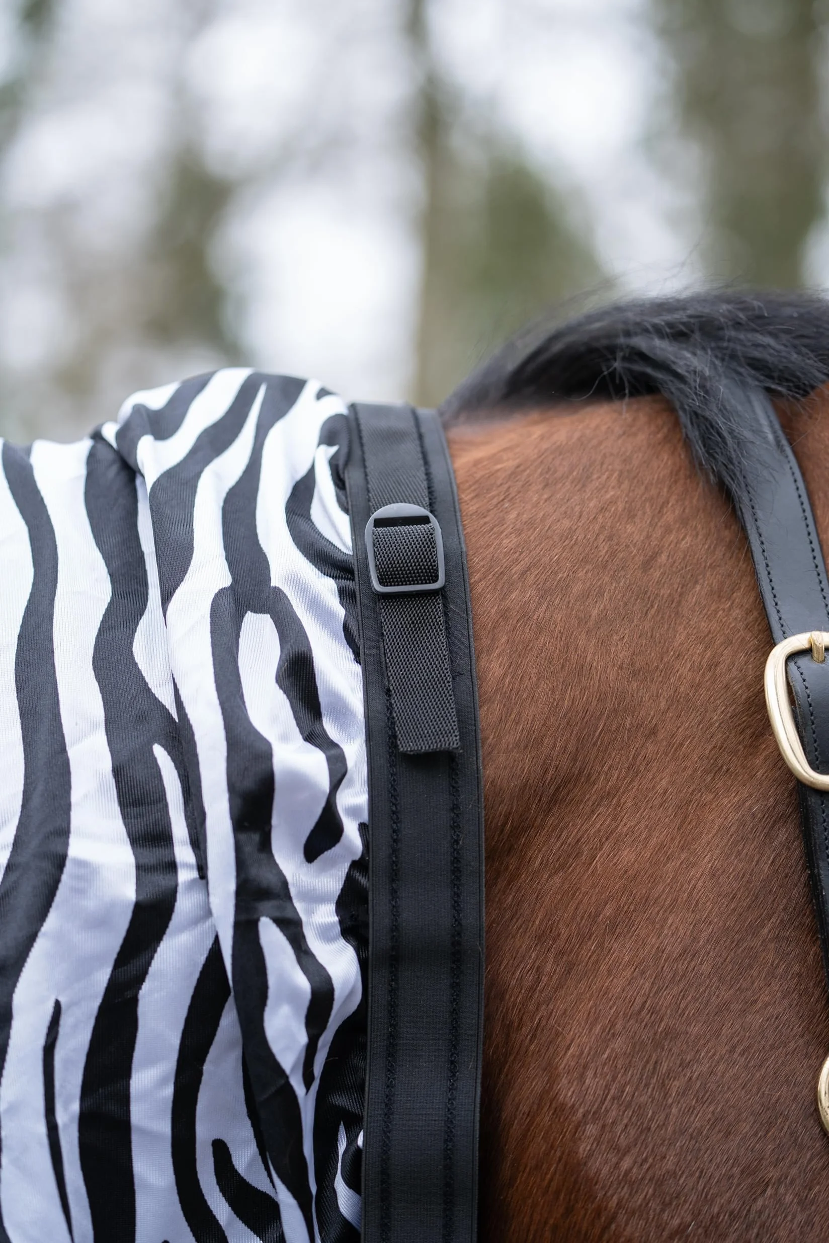 HKM zebra eczema blanket for horse, 145 cm, horse fly blanket