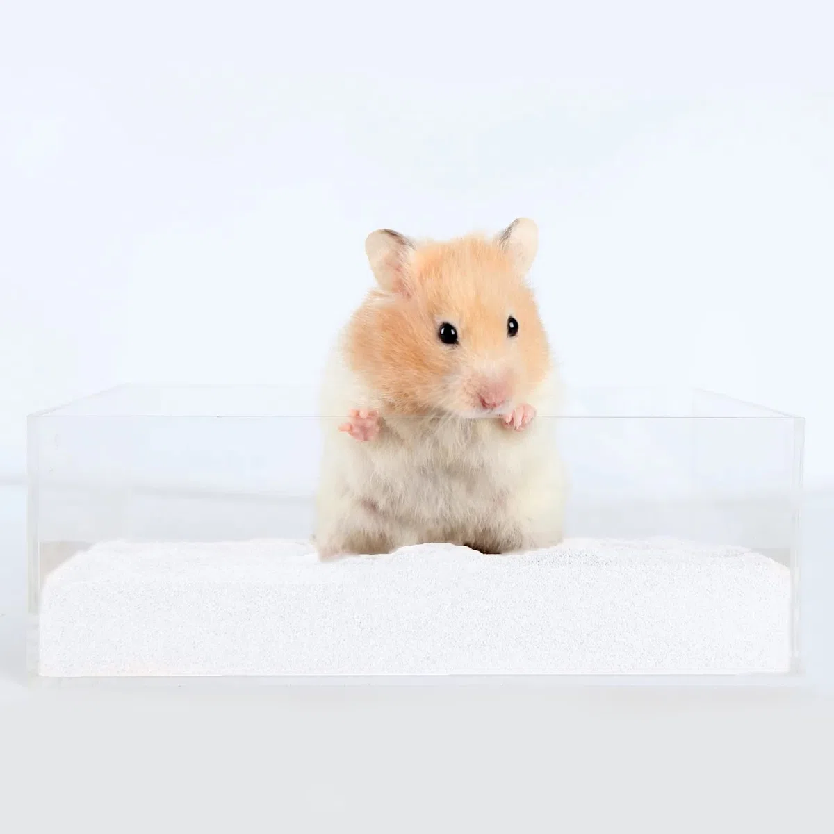 Dr.Dudu Hamsterbadesand, staubfreier Wüstensand oder als Töpfchentoilettenstreu für Hamster, Chinchillas, Rennmäuse, syrische Mäuse, Kleintiere, 3 kg, Weiß