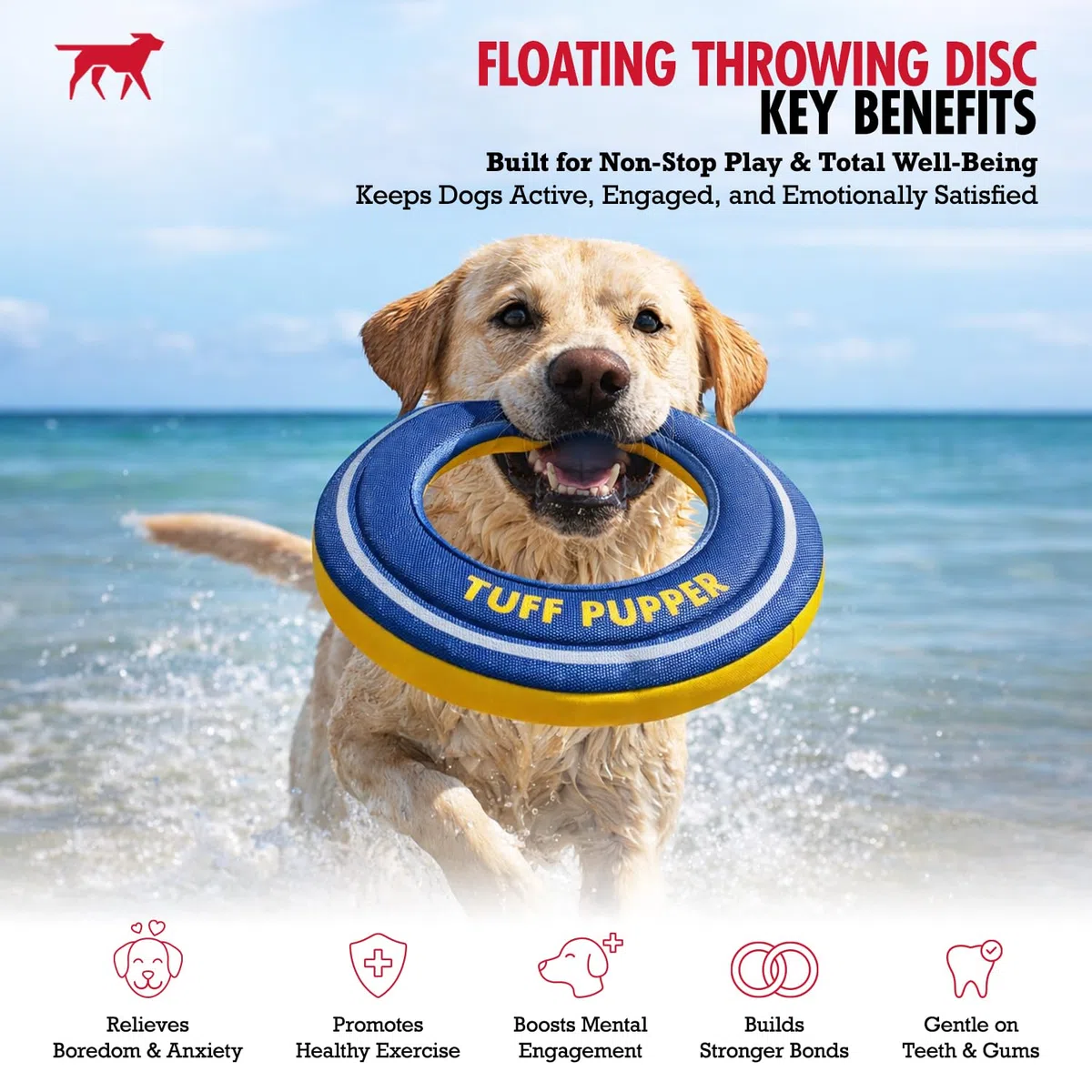 Tuff Pupper Schwimmendes Hunde-Frisbee-Spielzeug | Apportieren Sie nur kein Kauspielzeug | weiche Schaumstoff-Apportierscheibe | gut sichtbares Wasser- und Schneespiel | sanft zu den Zähnen | leichtes