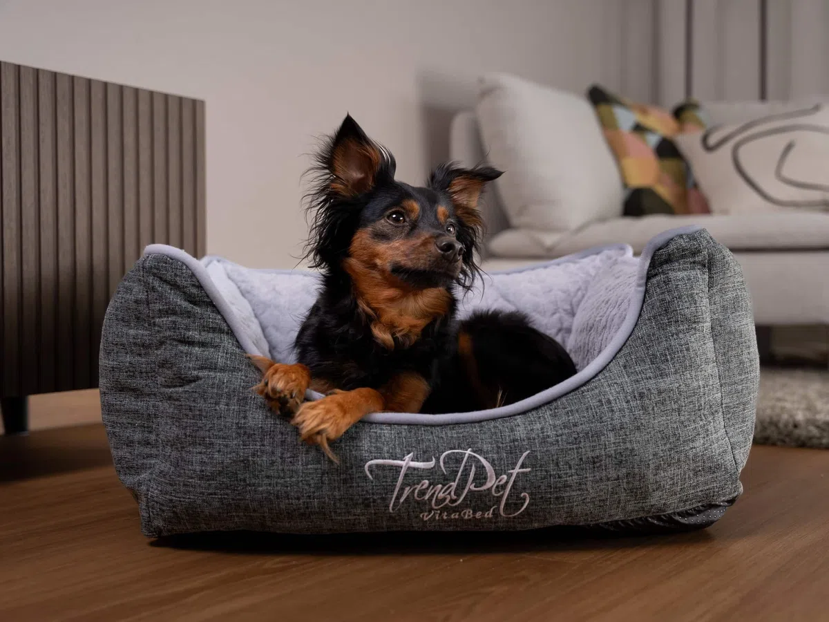 TrendPet VitaBed - Orthopädisches Hundebett mit 5cm Memofoam (60x50cm)