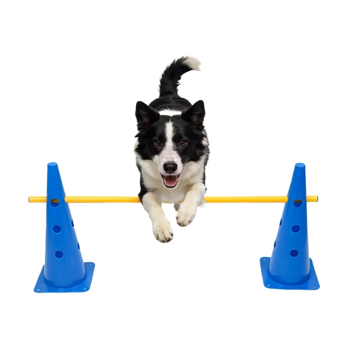 Generisch Hunde-Agility-Ausrüstung Robust und tragbar | Hürden--Set für Agility-Training für Zuhause, Garten, Park, Indoor, Welpen, kleine, mittlere, große Hunde