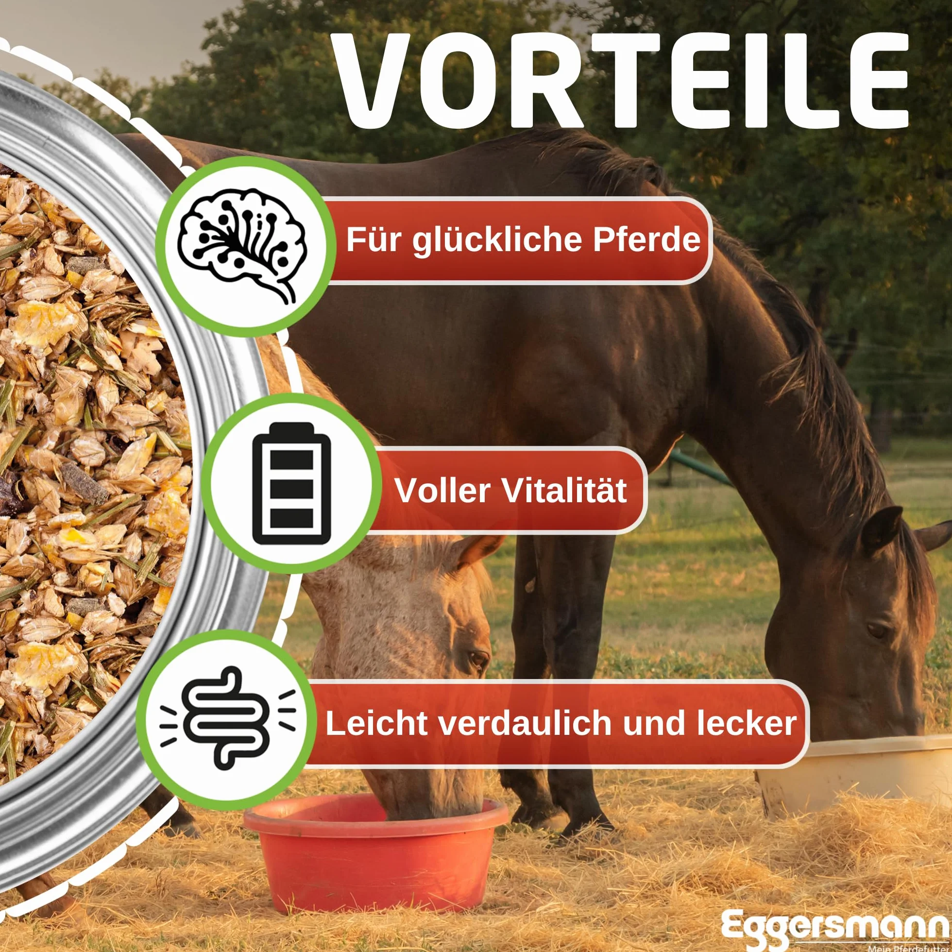 Eggersmann EMH Senior Müsli 20 kg Sack – Pferdemüsli für alte Pferde – Zur Vorbeugung von Substanzverlusten mit Selen – Natürliches Eggersmann Pferdefutter