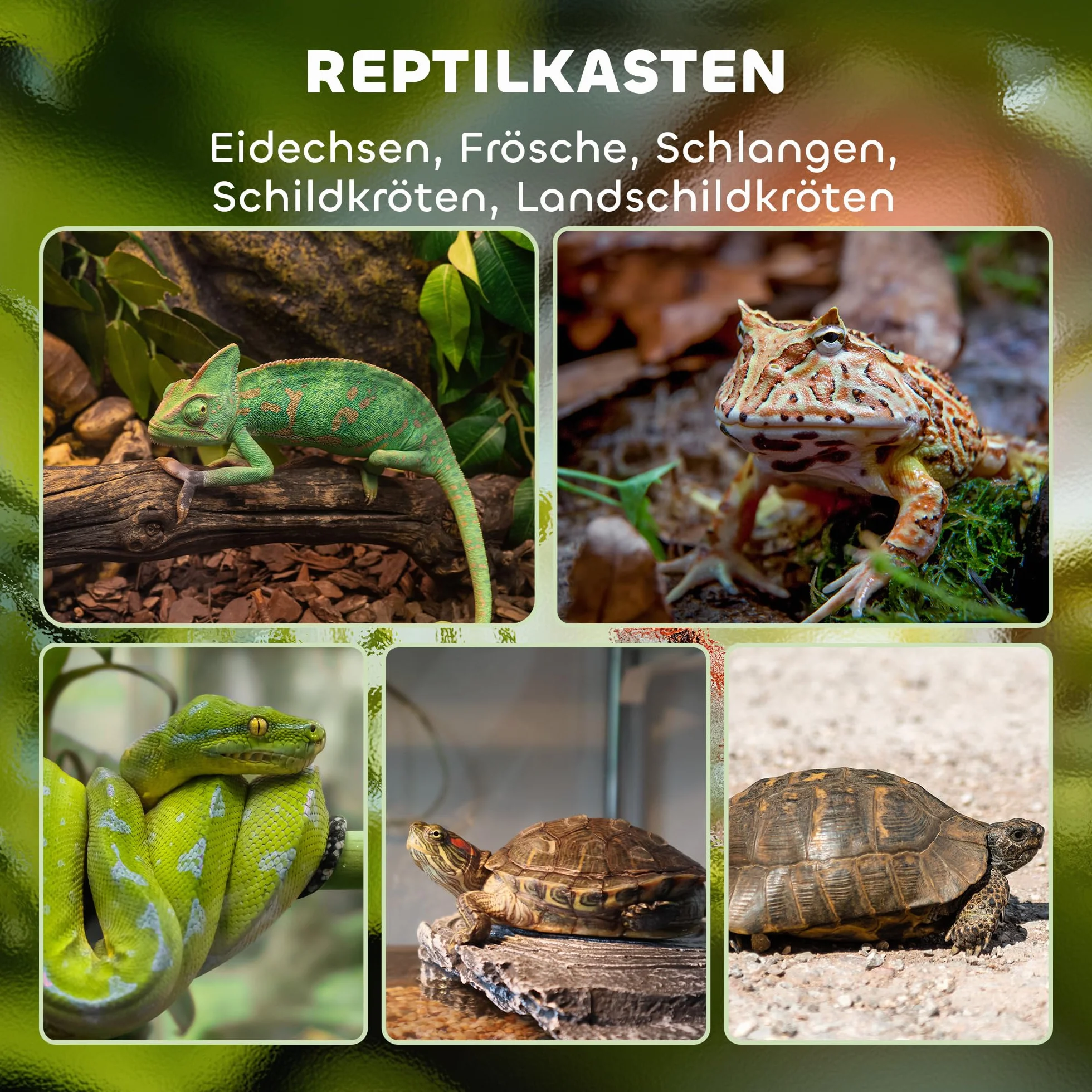 PawHut Terrarium für Reptilien Reptil Fütterungsbox mit Anti-Flucht-Design, Belüftung 120L Glasterrarium mit Kabelmanagement für Amphibien Spinne Metall Schwarz 45 x 45 x 60 cm