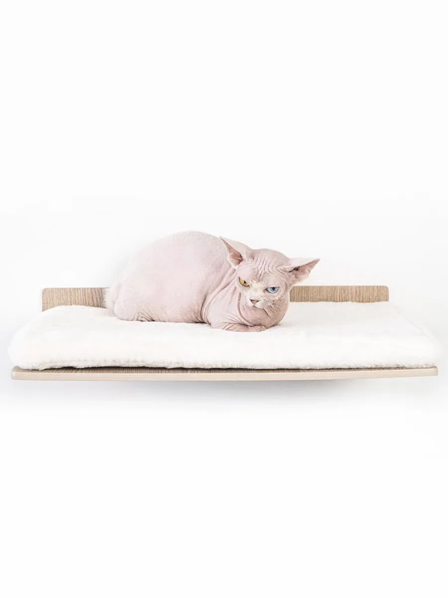 Petrebels Kletterwand, Wandliege Relax 50 cm, Kratzbaum Wand, Premium Qualität Wandkratzbaum, Katzenbett Wandmontage, Holz Farbe Eiche-Altgrau Look