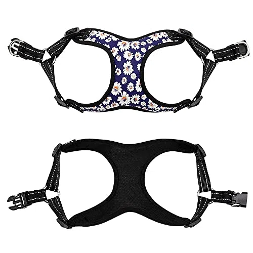 Modisch Bedruckte Nylon-Hundegeschirr-Weste, reflektierend, kein Ziehen, Hundegeschirr-Leine-Set für kleine, mittelgroße Hunde, Katzen, französische Bulldogge