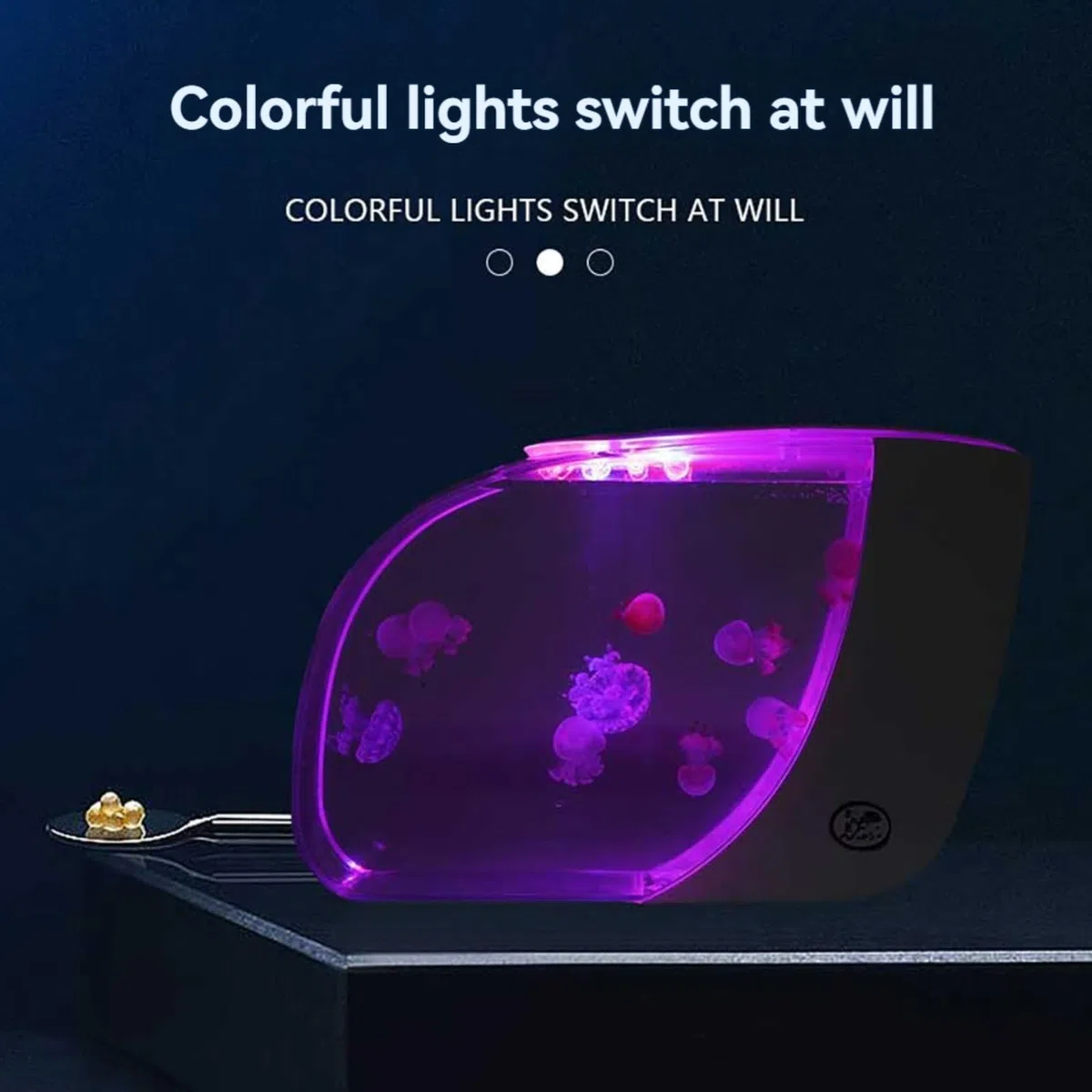 USB-Steckelektronik-Tank Desktop-Ökosystemaquarium mit 270 randloser ultraklarem Sicht intelligente Beleuchtung wissenschaftliche Filtration geräuschlose energiesparende Betrieb Tropf