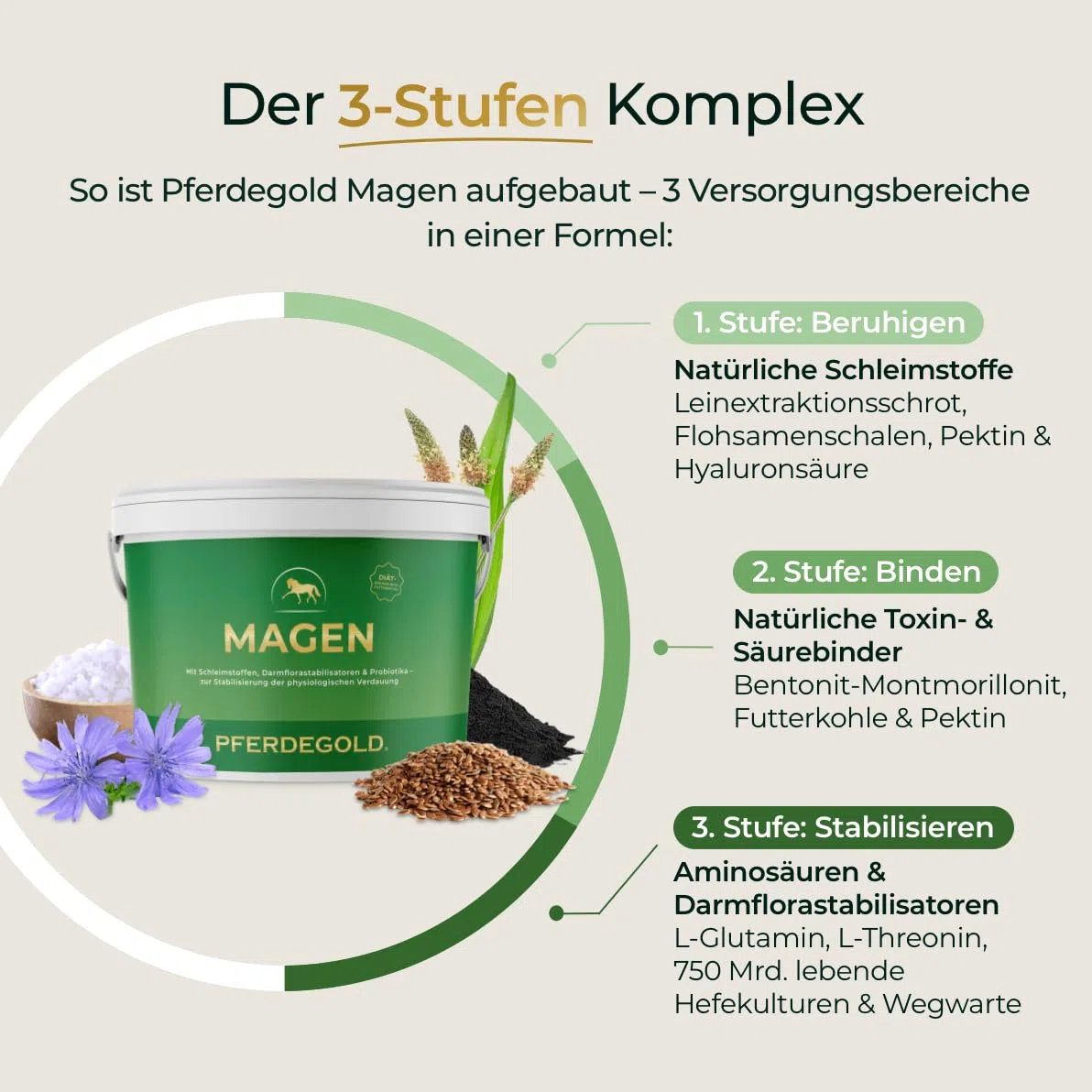 Magen 1,5kg - Diätergänzungsfuttermittel für Pferde | mit L-Glutamin, L-Threonin, Magnesiumglycinat & 750 Mrd. Hefekulturen - Made in Germany