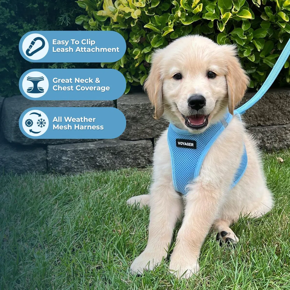 Best Pet Supplies Voyager Step-in Air Allwetter-Mesh-Geschirr und reflektierende Hundeleine, Kombination mit Neopren-Griff, für kleine, mittelgroße und große Hunderassen, Größe XXXS