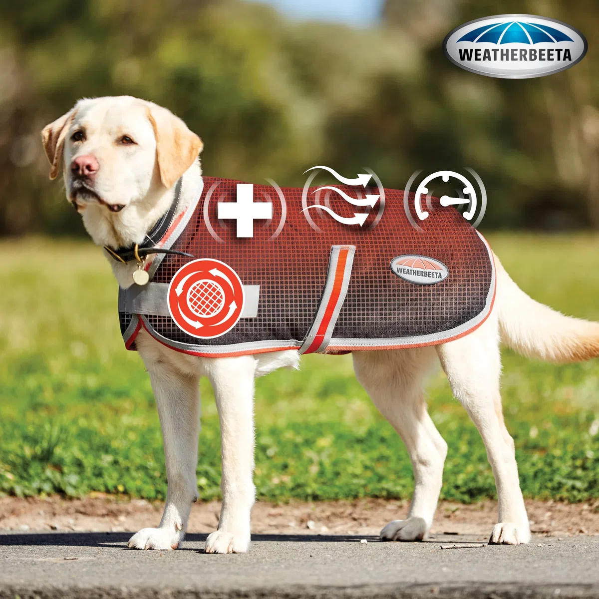 WeatherBeeta Hundemantel ComFiTec 1200D Therapy-Tec - 30 cm - Weiß-Silber