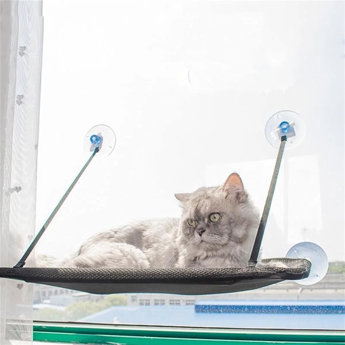 Haustierbett Katzenfenster-Hängematte, Katzenfenster-Barsch, Katzenfensterbett hält bis zu 55 lbs Katzenhängematte