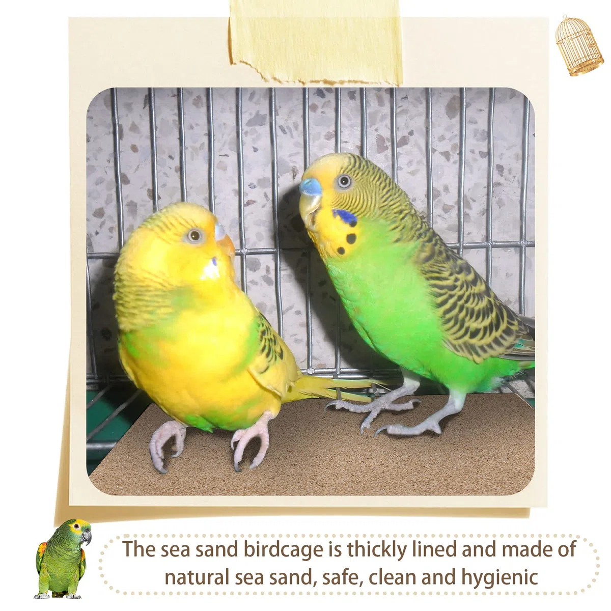 Fabbay 100 Stück Kiespapier für Vogelkäfig, 27.9x43.2 cm, Vogelkäfig, Papier, Haustierschleifpapier für Vogelkäfig im Meeresand, sauber, einfach für verbesserte Verdauung, Papageien, Nymphensittiche