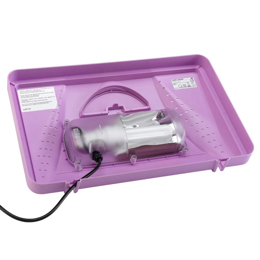 Ferplast 65010019 Capri Junior Aquarium, 41 x 26.5 x 34 cm, 21 L, violett