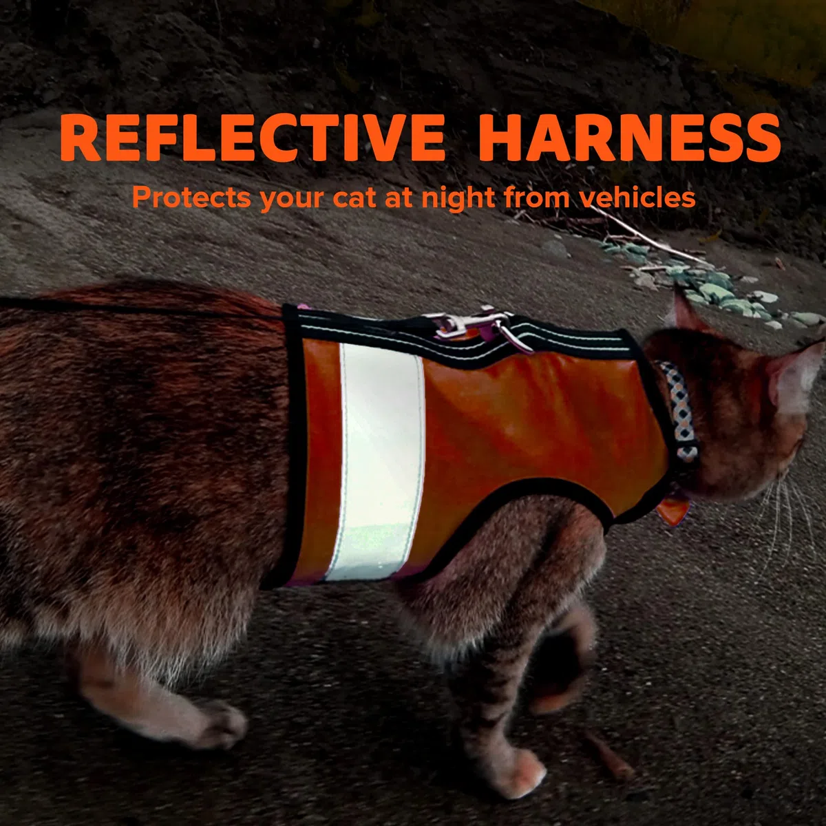 Kitty Holster Reflektierendes Katzengeschirr, gut sichtbare Katzenweste für Tag und Nacht, sichere, atmungsaktive und waschbare Baumwolle, ideal für Spaziergänge und Reisen, Outrageous Orange, XL