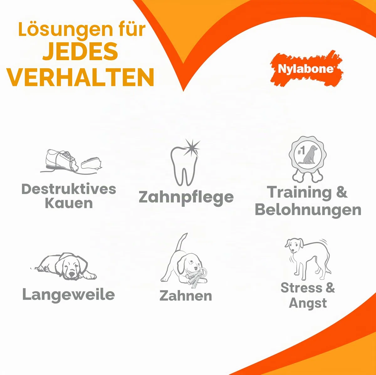 Nylabone Kauspielzeug für Welpen Starter Packungen Puppy Chew Spielzeug