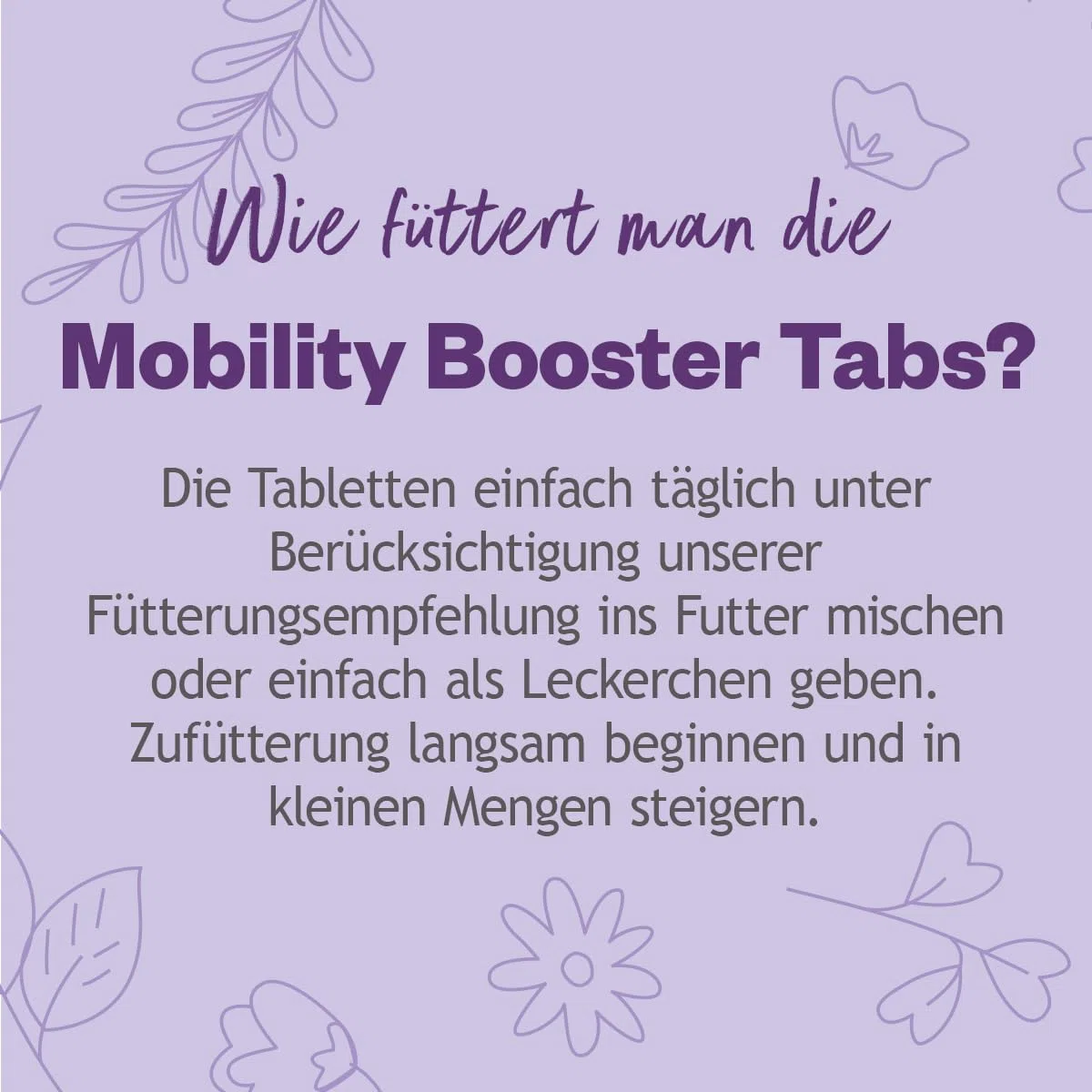GRAU - das Original - Hokamix Mobility Booster Tabs, 1er Pack (1 x 390 Stück)