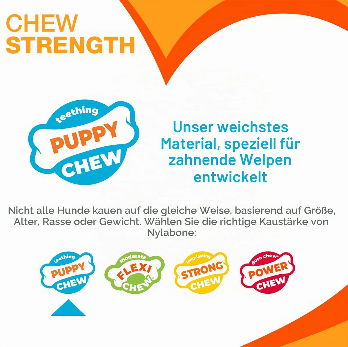 Nylabone Kauspielzeug für Welpen Starter Packungen Puppy Chew Spielzeug