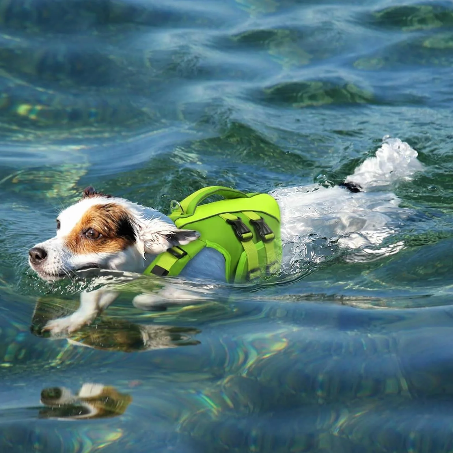 Queenmore Schwimmweste Hund Klein, Ripstop Hunde Schwimmweste, Verstellbar Hundeschwimmweste, Rettungsweste Mit Griff, Schwimmweste Chihuahua,Bootfahren Surfen kajak, Rot, S