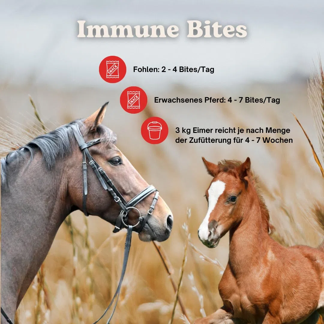 Hofmann Nutrition Immune Bites – natürliche Pferdeleckerlis für Darmgesundheit & Immunsystem – Ergänzungsfutter mit Mikronährstoffen – unterstützt die Verdauung – 3 kg Eimer