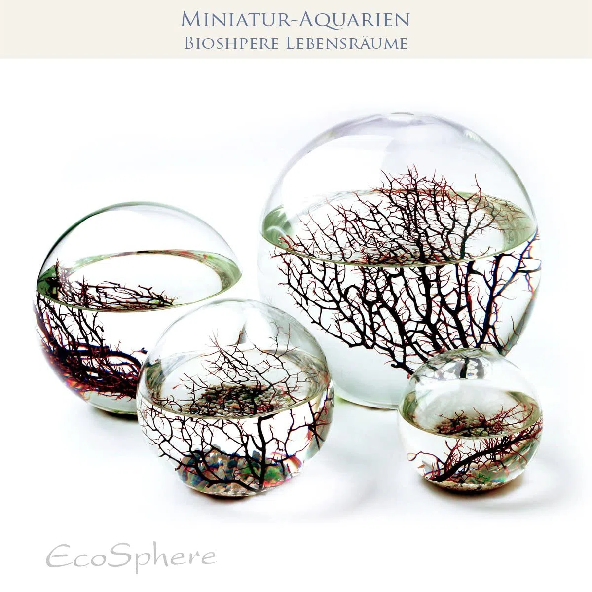 EcoSphere - Miniaquarium aus der NASA Weltraumforschung - handgefertigtes, geschlossenes Ökosystem mit Garnelen - Made in Germany (10cm Kugel)