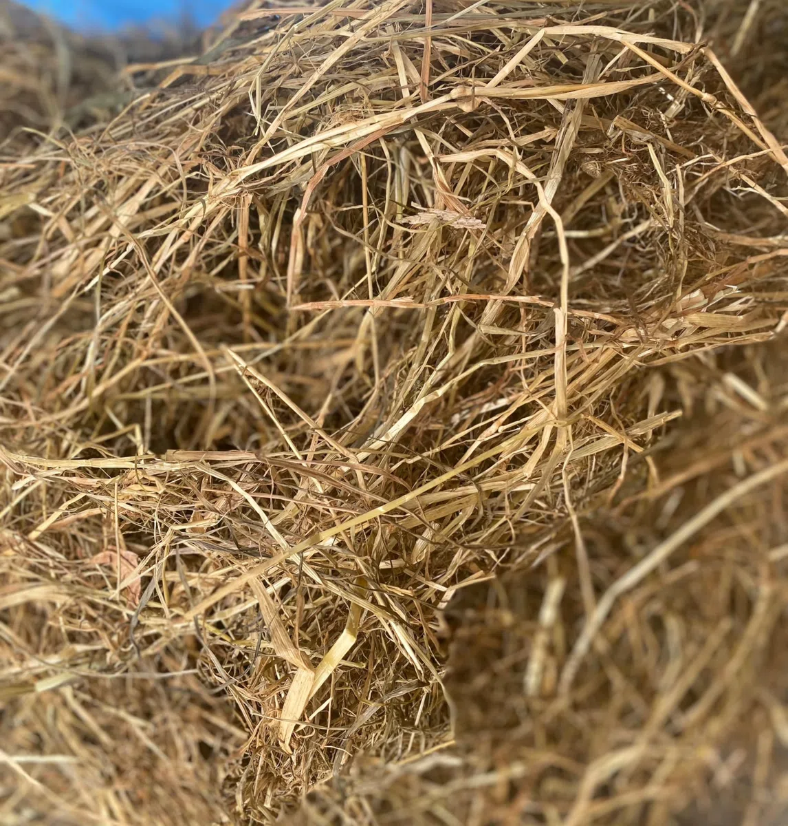 Wiesenheulage 1. Schnitt Palette mit 40 Ballen - 640 kg