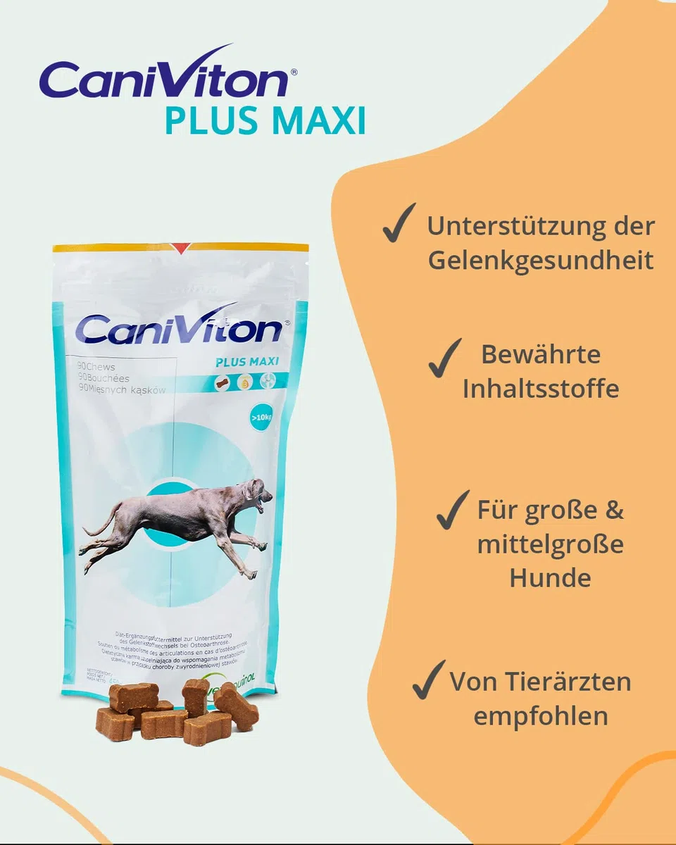 Vetoquinol Caniviton Plus Maxi | 90 Chews | Ergänzungsfuttermittel für Hunde | Kann unterstützend wirken in der Gelenkgesundheit | Enthält Glucosamin und Chondroitinsulfat