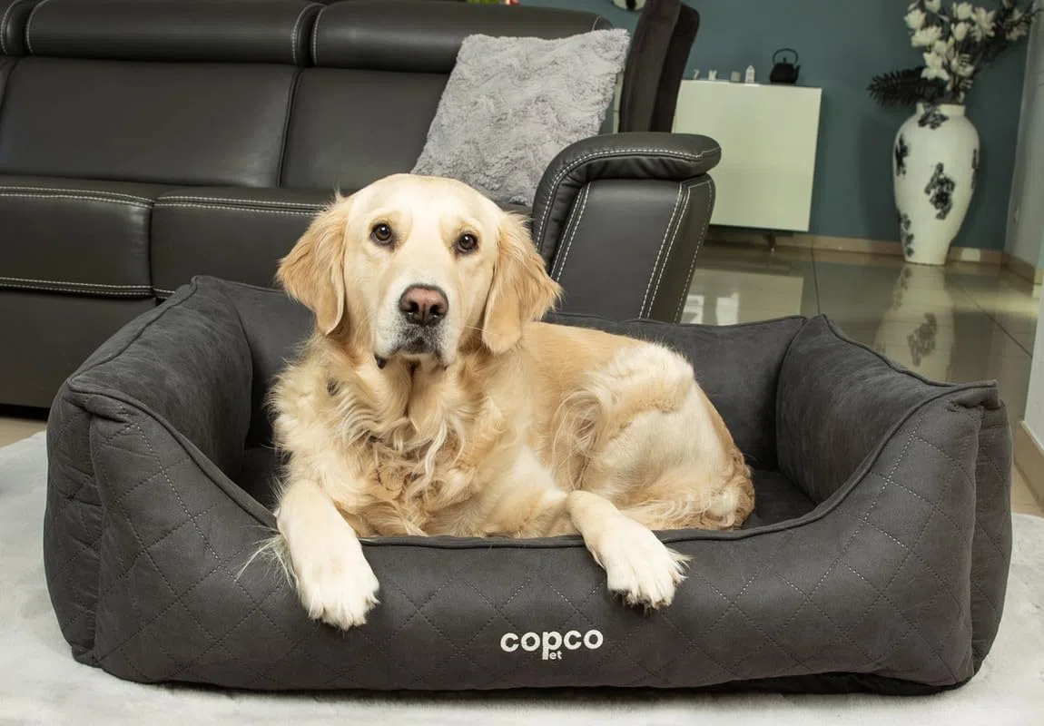 CopcoPet Hundebett Hugo Orthopädisch Velourlederoptik Grau XL 110 x 90 cm – Visco-Hundematratze mit abziehbarem Bezug – rutschfest & pflegeleicht – Für große Hunde, gelenkschonend & formstabil
