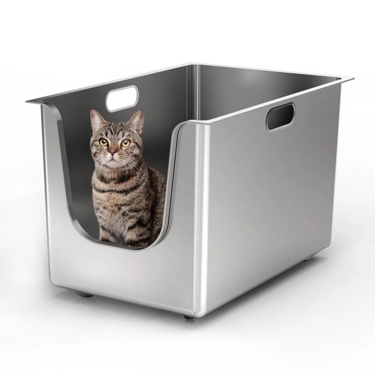 PTLOM Lebensmittelechtes Edelstahl Katzenklo Katzentoilette XL: 35cm Hohe Ränder Rostfrei,Auslaufsicher, Niedriger Einstieg für ältere Katzen + Rollen – Perfekt für Mehrkatzenhaushalte