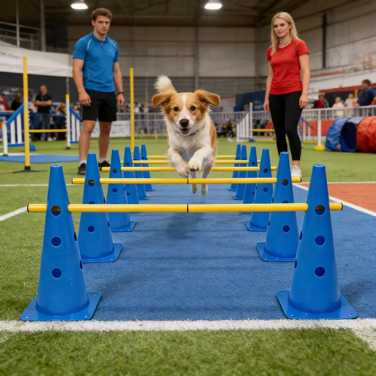 Generisch Hunde-Agility-Ausrüstung Robust und tragbar | Hürden--Set für Agility-Training für Zuhause, Garten, Park, Indoor, Welpen, kleine, mittlere, große Hunde
