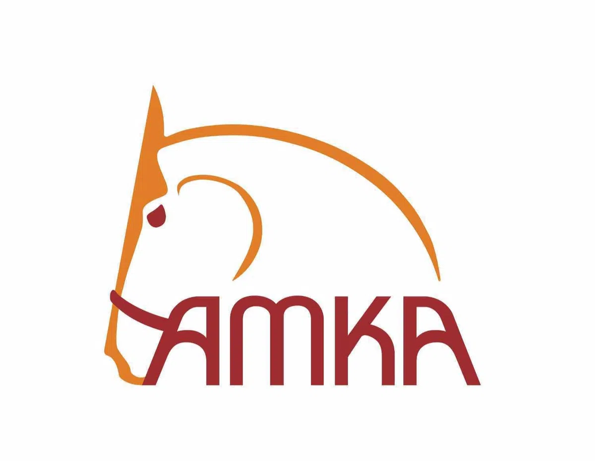 AMKA Einspännergeschirr, schwarz, 1A Ausführung, Gr. Haflinger/VB