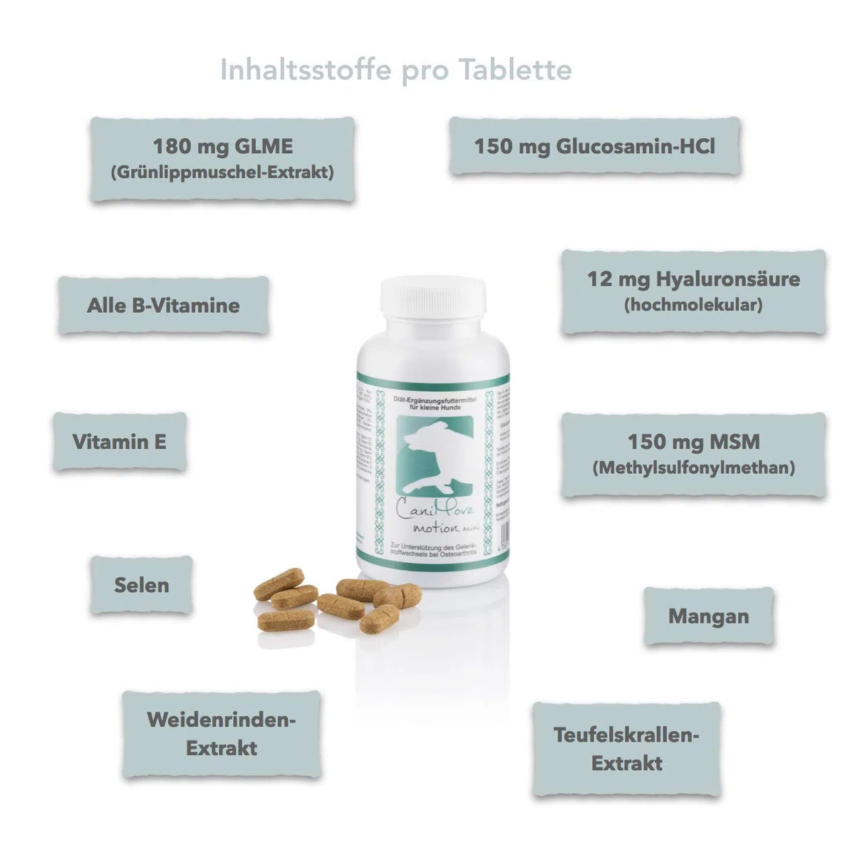 Spar-Bundle - 1 Dose (100 Tabletten) CaniMove Motion mini und 2 Packungen (200 Kapseln) CaniMove Senior mini - Ideal für kleine Hunde-Senioren.