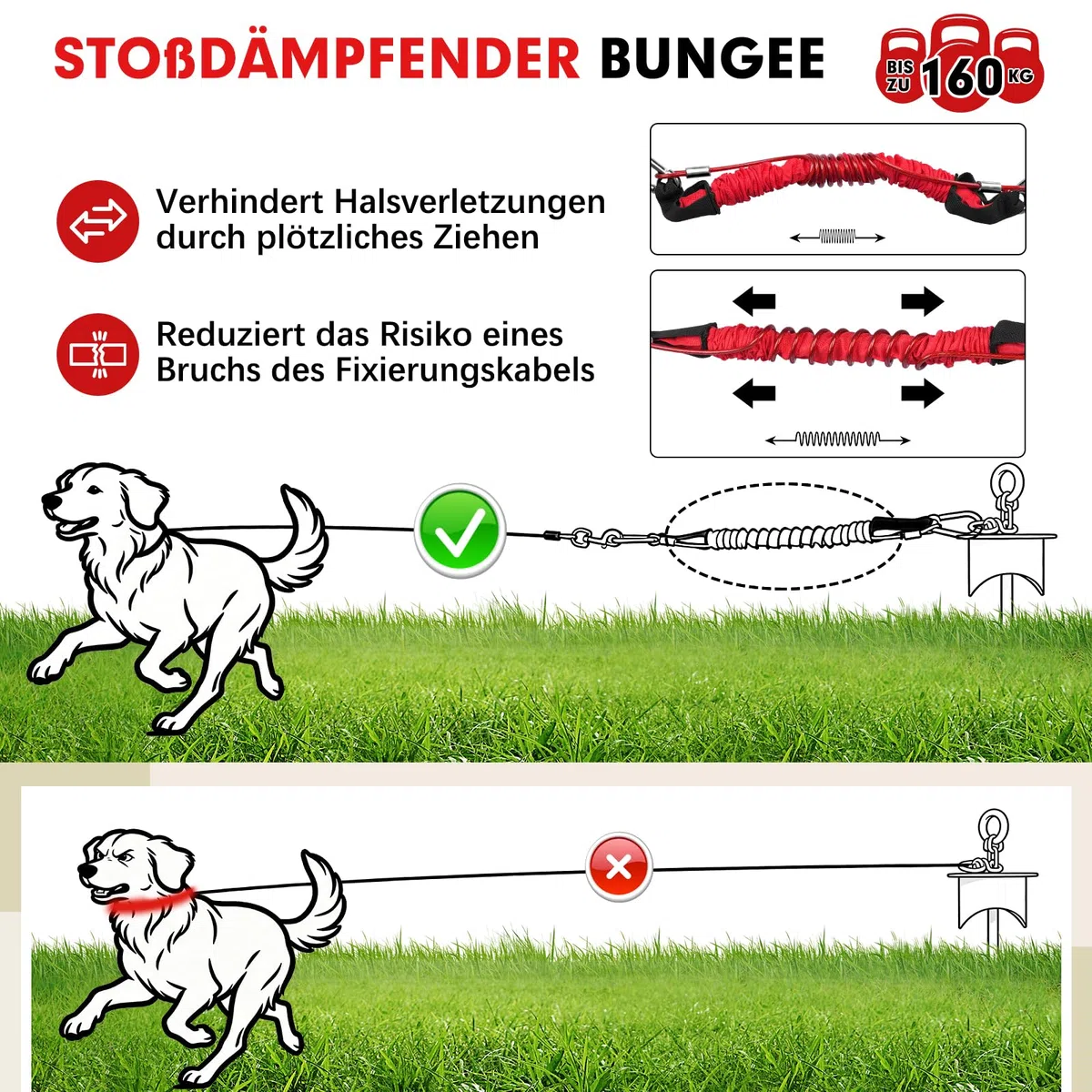 Snagle Paw Bodenanker für Hunde mit Lock-Cap, 6M Leine with Erdanker für Außen/Garten/Camping mit Stoßdämpfender Bungee-Leine, 360°drehbarer Rostfreier Bodenanker für Leinen, Ketten bis 360 lbs