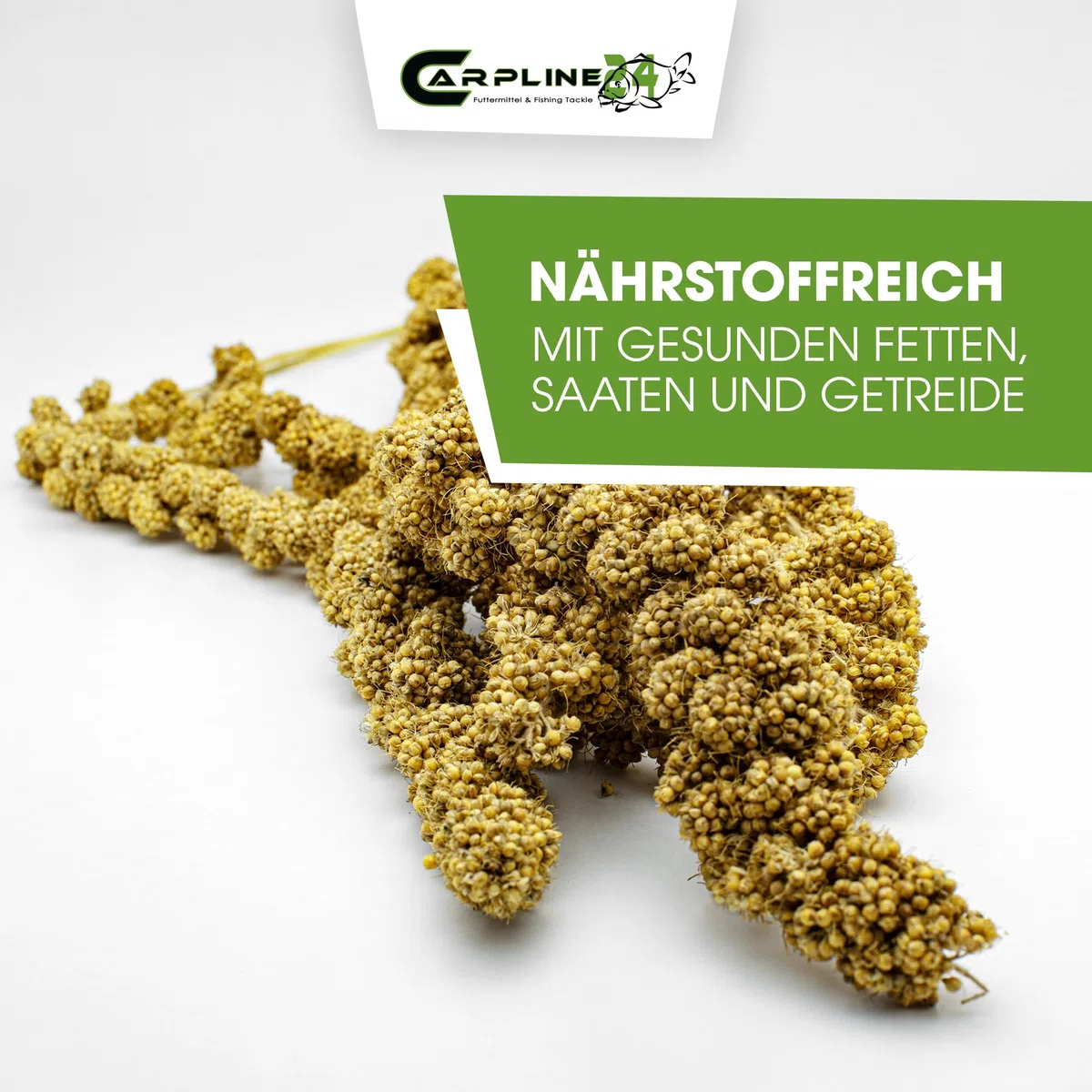 Kolbenhirse gelb 15 Kg - Ganzjähriges Vogelfutter - Für Ziervögel & Wildvögel