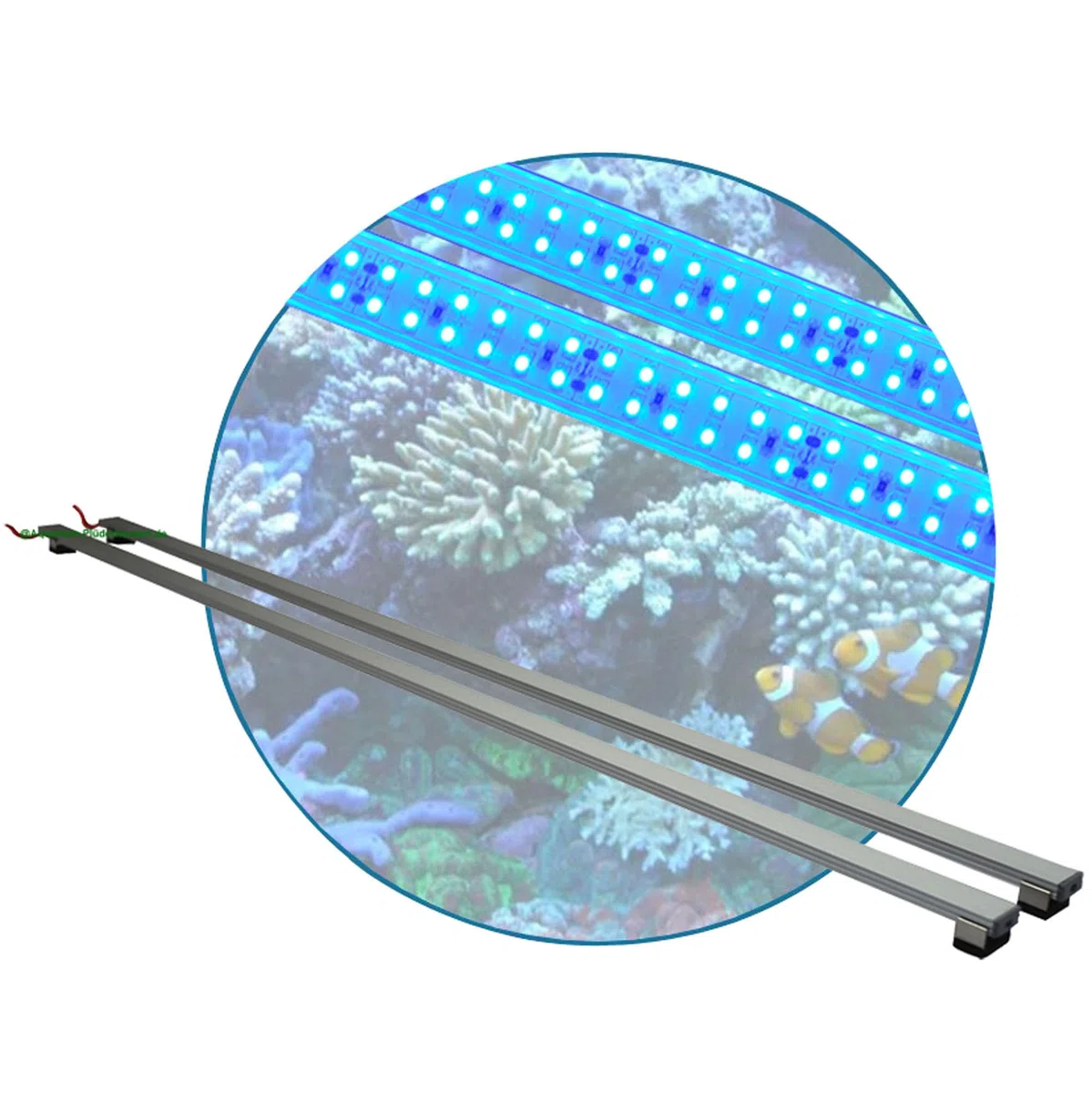 Meerwasser Aquarium LED-Leuchtbalken 60 cm, 2 Leisten BLAU +Trafo/Verteiler