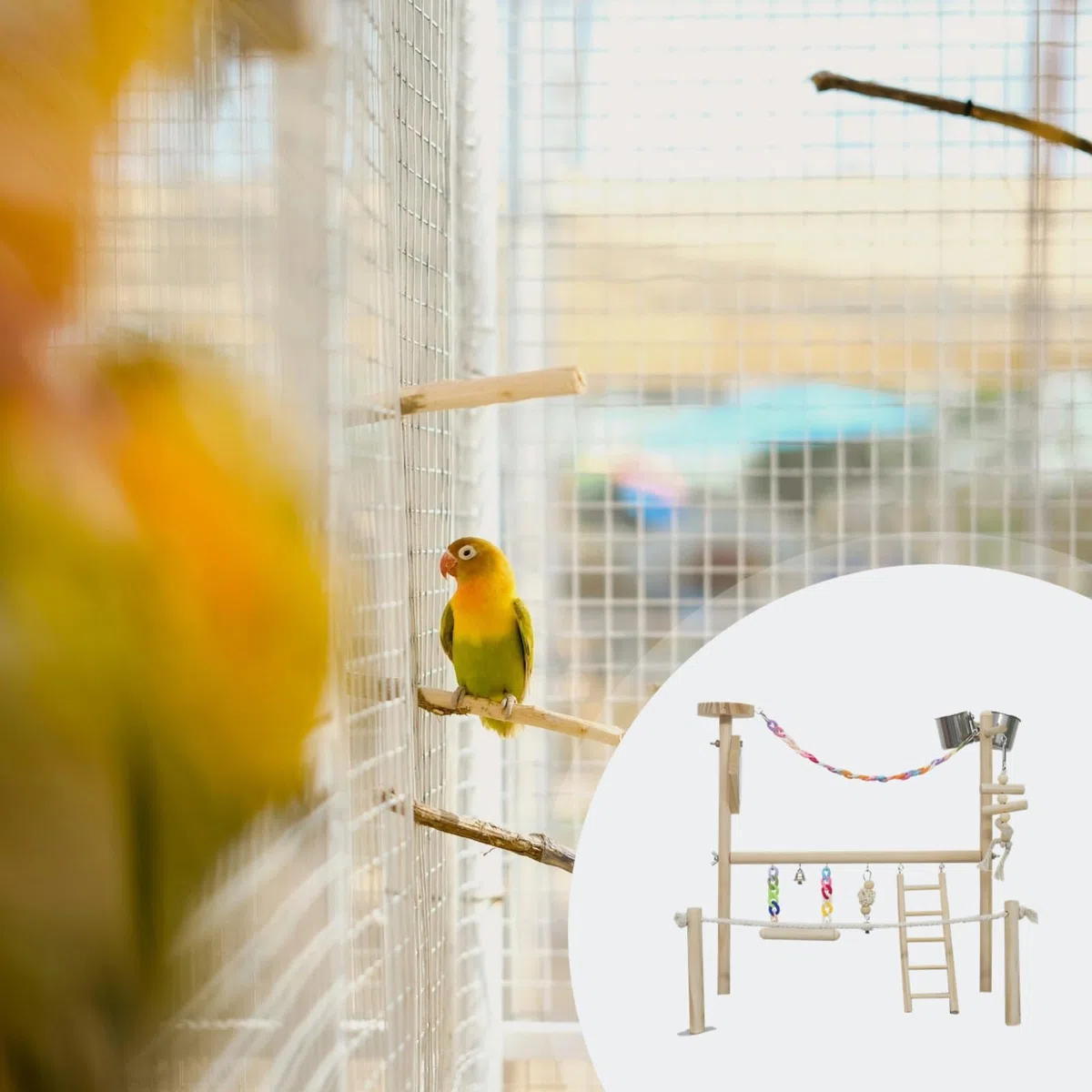 Vogel-Aktivitätszentrum mit Holzsitzstange, Leiter, Glocken und Schaukel, großer Papageienspielplatz mit Futterbechern, interaktive Trainingsstation für Ara und Kakadu
