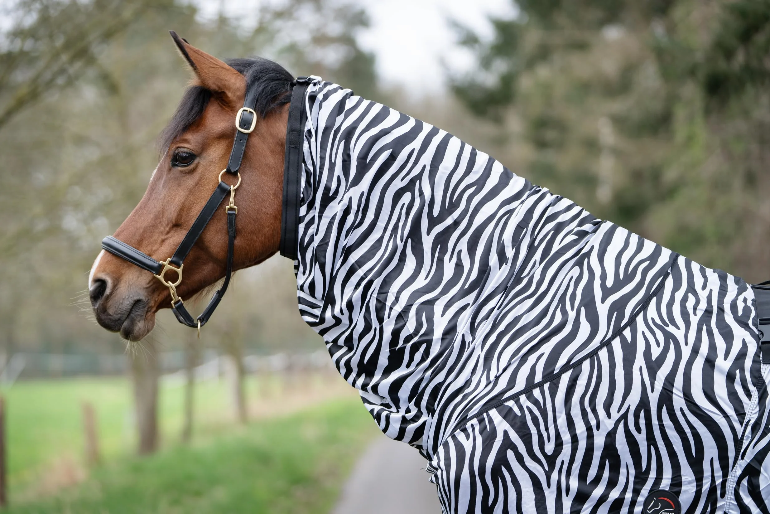 HKM zebra eczema blanket for horse, 145 cm, horse fly blanket