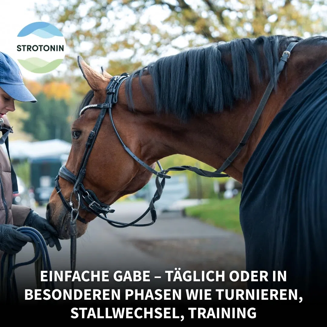Pferd Gastro | Magenkräuter, Magen Darm & Verdauung - 35 STK | Mit Inulin, Magnesium & Kräutern wie Kamille, Minze und Melisse, für empfindliche Pferde bei Futterumstellung & Training