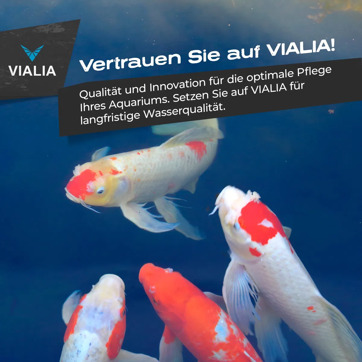 Aquarium Außenfilter mit 9W UVC Klärer für Aquarien bis 400L | 1000 L/h Pumpenleistung, Komplettset inkl. Filtermedien, Leise & energiesparend, Für Süß- und Meerwasser geeignet