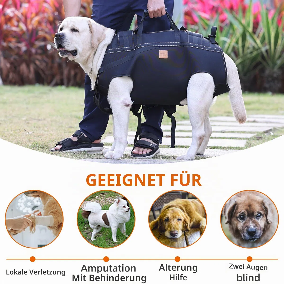 Große Hundetragetasche, Hunderucksack, Haustierbeinstütze, Hundegeschirr, Tragetasche für ältere Hunde, Gelenkverletzungen, Arthritis, Treppenauf- und hinunter, Lähmung, XXL für 22,7–29,9 kg