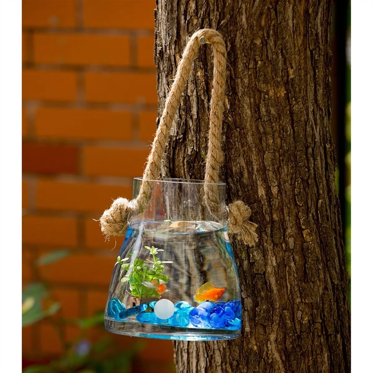 Aquarien Hängendes Aquarium for drinnen und draußen, Wohnzimmer, kleines Wand-Goldfisch-Aquarium, Glasaquarium, ökologisch, dekorativ, kreative Fischtanks Wohndeko