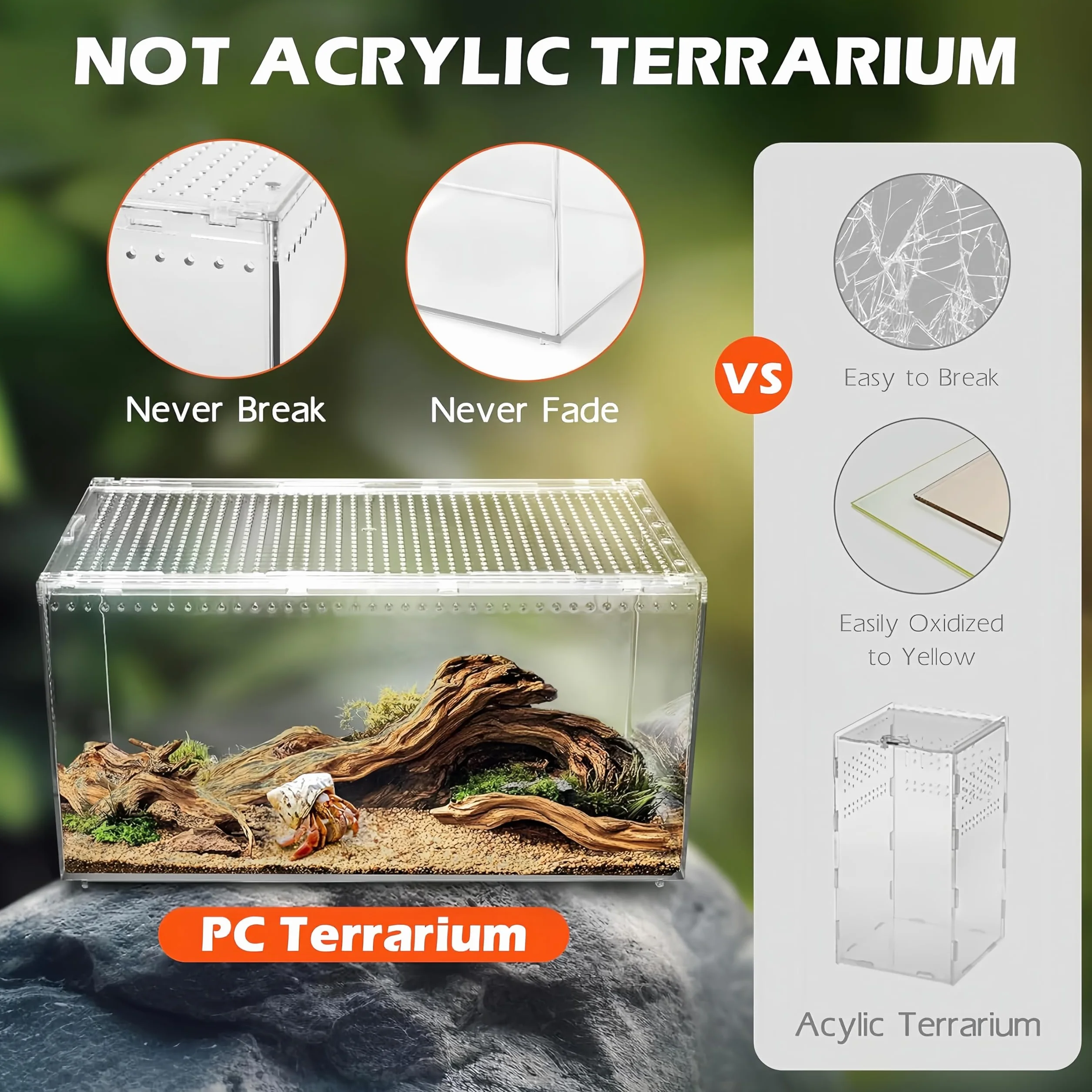 Reptilien Terrarium Box Magnetisches Acryl heimchenbox Terrarium stapelbares Reptil Fütterungsbox für Spinnen Skorpion Käfer Gehörnter Frosch