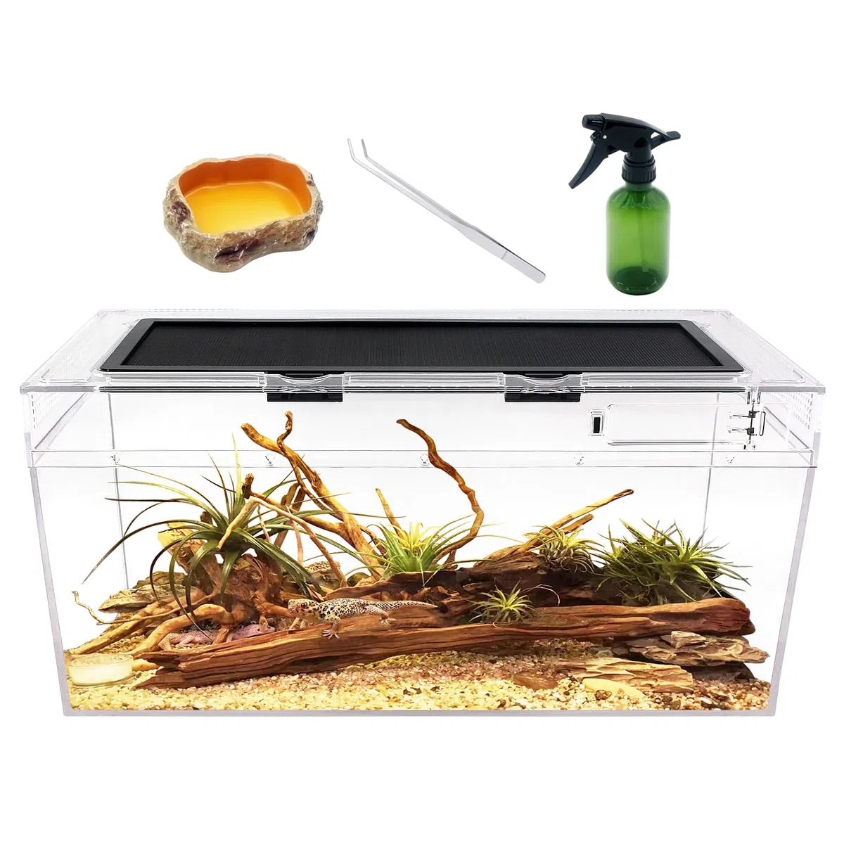 Reptile Growth Reptilien-PC-Terrarien-Set, Reptilienbecken 50 x 25x 20 cm, für Insekt, Fisch, Tarantel, Einsiedlerkrebs, Springspinne, Leguan, Schildkröte, Leopardgecko, Frosch, Bartagame